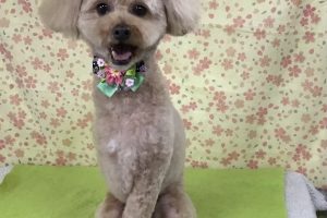 3月のお友達☆