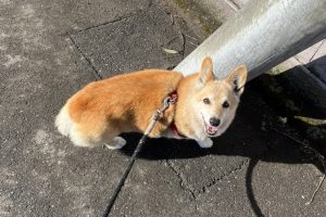 3月のお友達☆