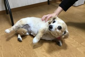 お泊まり中☆