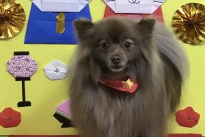 3月のお友達☆
