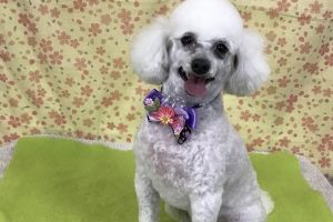 3月のお友達☆
