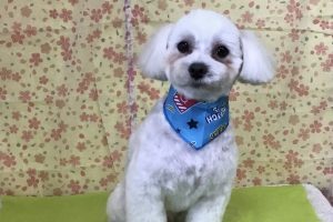 3月のお友達☆