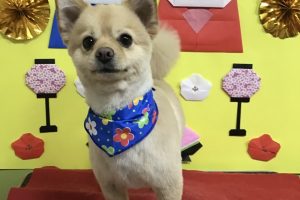 3月のお友達☆