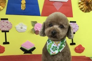 3月のお友達☆