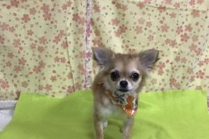3月のお友達☆
