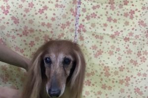 3月のお友達☆