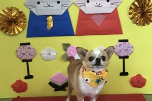 3月のお友達☆