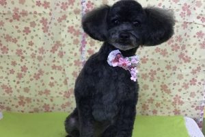 3月のお友達☆
