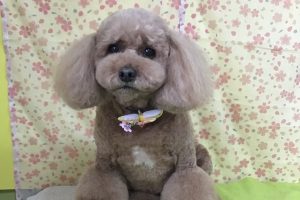 3月のお友達☆