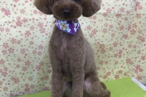 3月のお友達☆