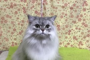 3月のお友達☆