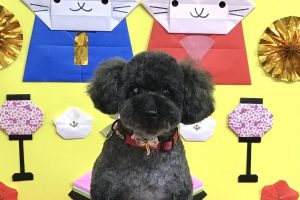 3月のお友達☆