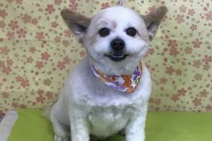 3月のお友達☆