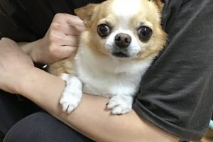 お泊り☆