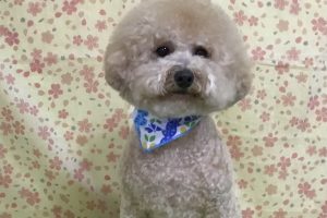 3月のお友達☆