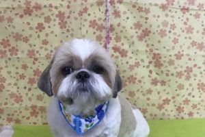 3月のお友達☆
