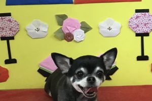 3月のお友達☆