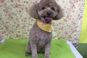3月のお友達☆