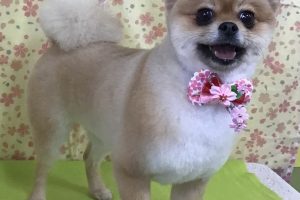 3月のお友達☆