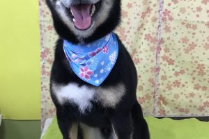 3月のお友達☆