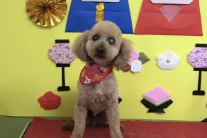 3月のお友達☆