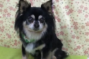 3月のお友達☆