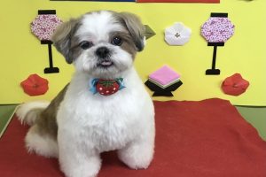 3月のお友達☆