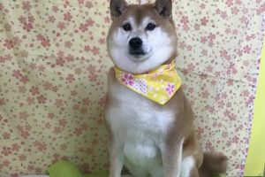 ３月のお友達☆