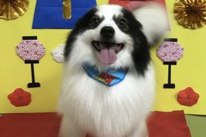 3月のお友達☆