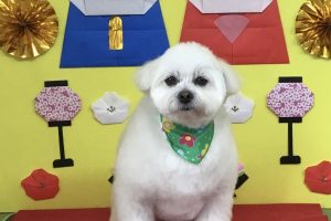 3月のお友達☆