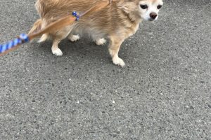 お泊まり中☆