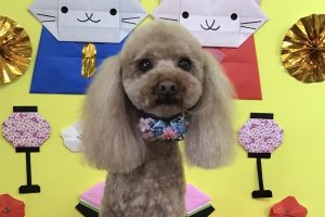 3月のお友達☆