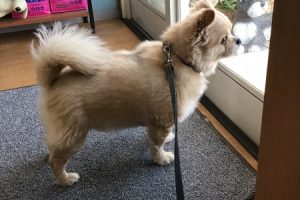 お泊り☆
