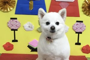 3月のお友達☆