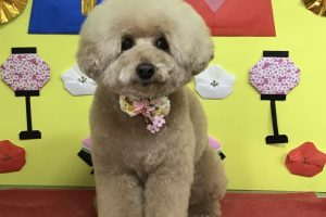 3月のお友達☆