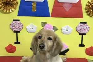 3月のお友達☆