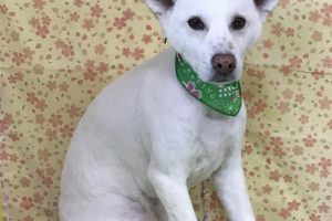 3月のお友達☆