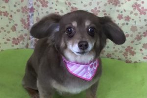 3月のお友達☆