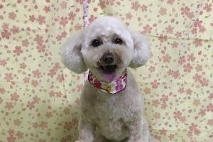 3月のお友達☆