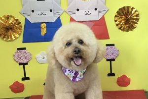 3月のお友達☆