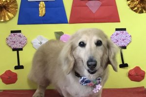 3月のお友達☆