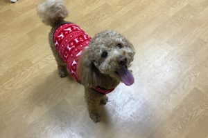 お泊まり中☆