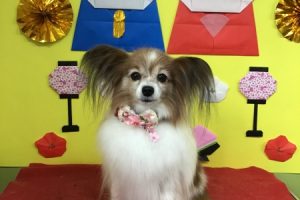 3月のお友達☆