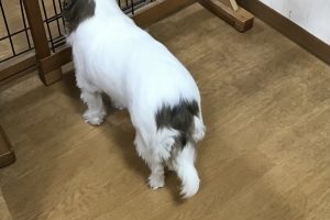 お泊り☆
