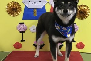 3月のお友達☆