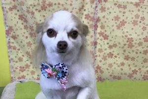 3月のお友達☆