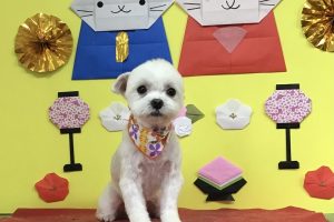 3月のお友達☆