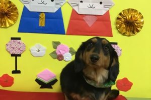 3月のお友達☆