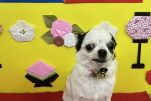 3月のお友達☆