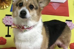 3月のお友達☆